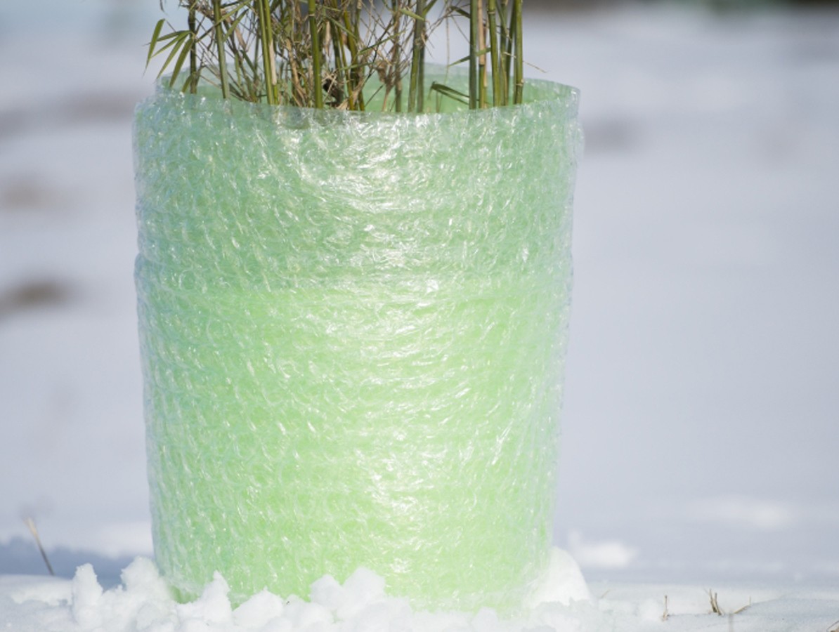 Ochrana rostlin - bublinková folie proti mrazu - 1x5 m