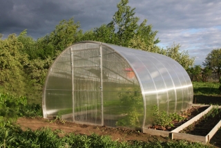 Zahradní skleník DODO 314  3,14x10m PC 4 