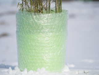 Ochrana rostlin - bublinková folie proti mrazu - 0,5x5 m